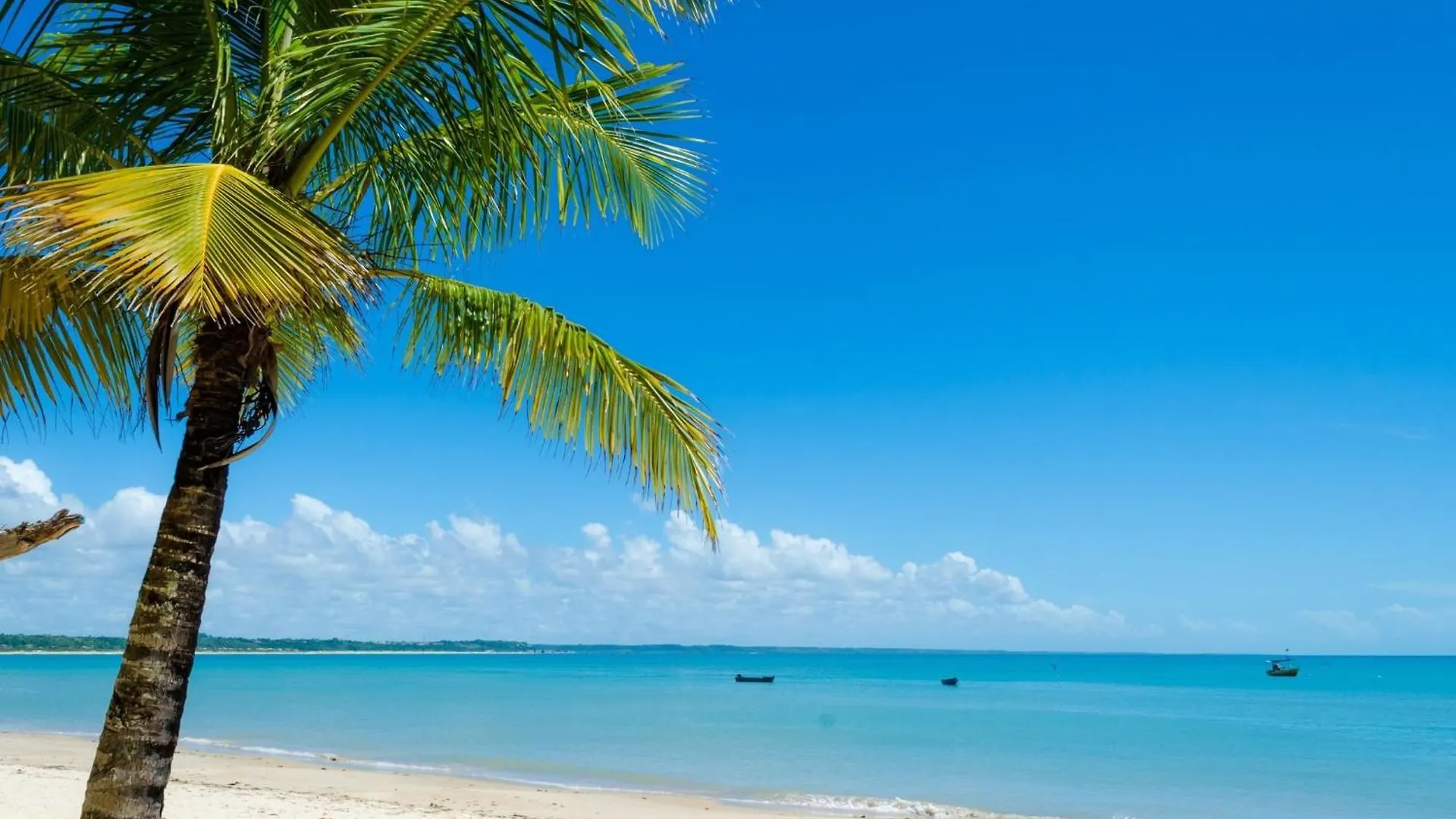 Ondas Praia Resort - Mc Porto Seguro Appartamento